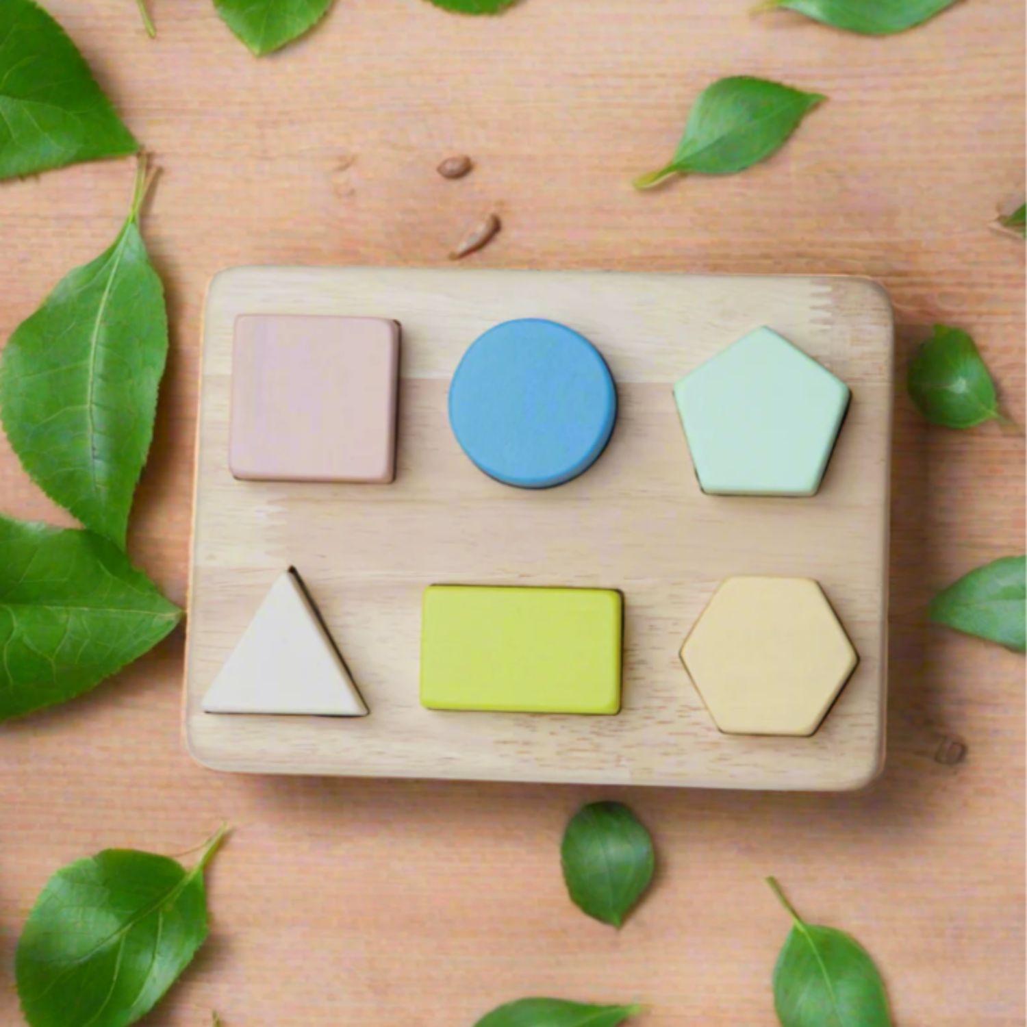 Learning Geometry Shape