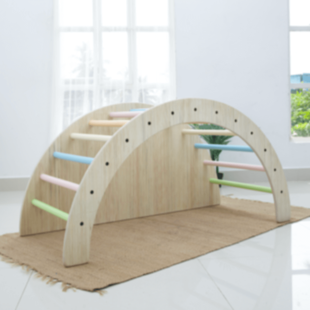 Multifunctional Pickler Triangle