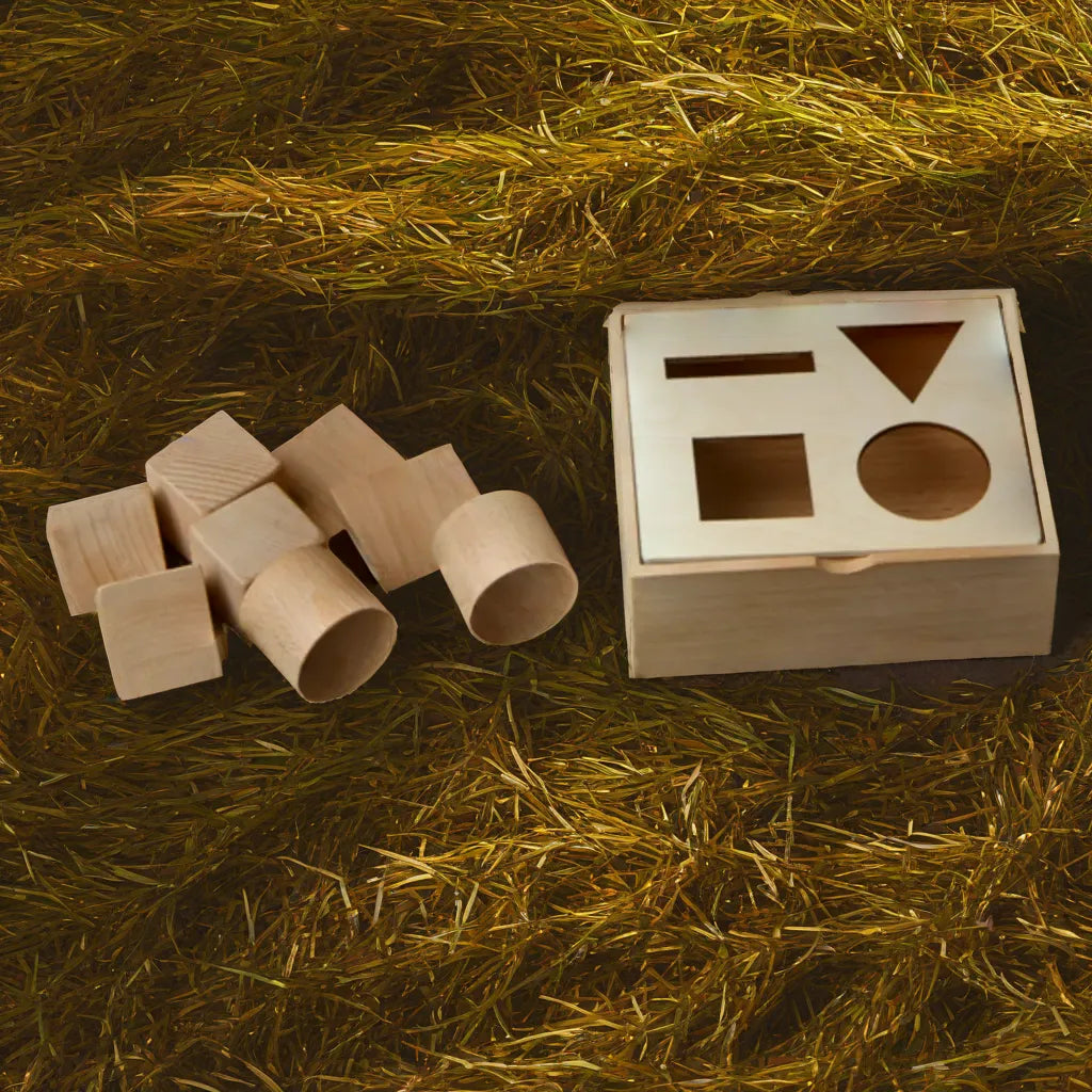 Geometry Shape Puzzle