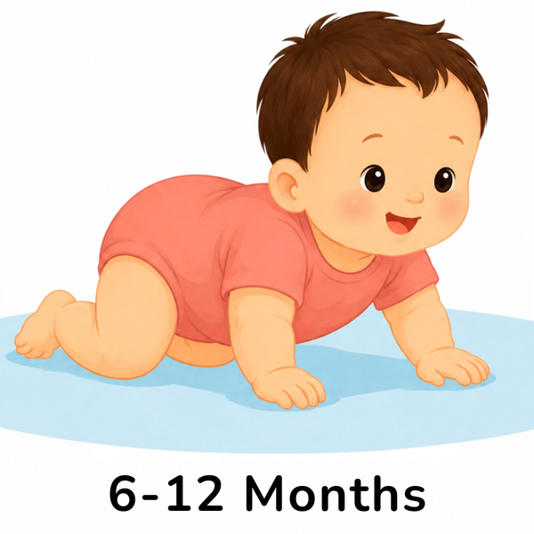 6 - 12 month